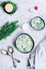 Okroshka. Traditional russian soup with radish