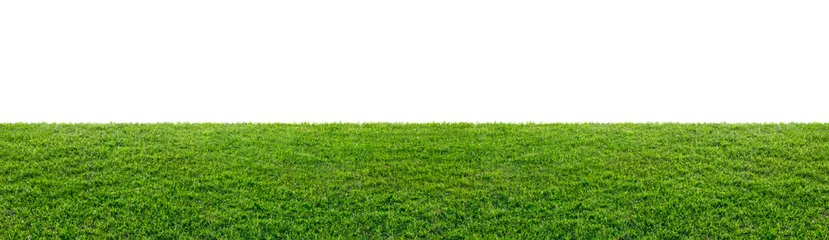 Fotobehang Gras groen grasveld geïsoleerd op witte achtergrond