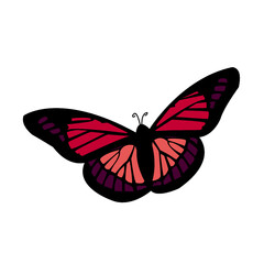 Fototapeta na wymiar Beautiful colored butterfly in illustration