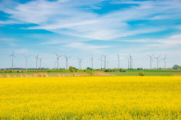 Beautiful farm landscape with rasp yellow at blossom field, wind turbines to produce green energy in Germany, Spring, blue sky and sunny day.