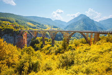 Old big bridge Durdevica. View on Tara river gorge.