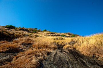 Wallpaper blurred nature of the twilight light in the evening by the large water basin surrounded by big trees, the integrity of the forest