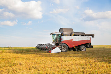 old combine harvester harvests from the field