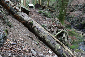 高知県室戸市佐喜浜町　唐谷