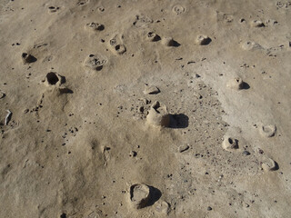 Curious geological "seismites" formations with exceptional shapes in the coast of El Médano. South of Tenerife. Canary Islands. 