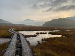 朝日と霧に彩られた尾瀬の木道