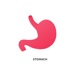 Fototapeta premium Human organ collection. Vector flat modern anatomical icon color illustration. Red stomach isolated on white background. Health care sign. Design element for gastroenterology, medicine, biology.