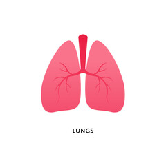 Human organ collection. Vector flat modern anatomical icon color illustration. Red lung isolated on white background. Health care medical sign. Design element for pulmonology, medicine, biology.
