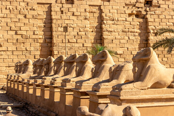 the Karnak temple of Luxor, Egypt. this was the largest temple complex of Amun-Ra god in ancient Thebes town. sheep road