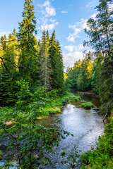 Fototapeta premium Looking down from bridge to Amatas River curving between sandstone outcrops and green forest during sunny summer morning at Latvia