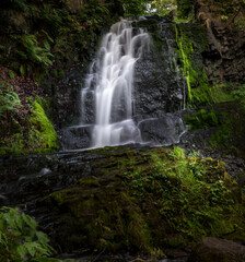 waterfall in the forest