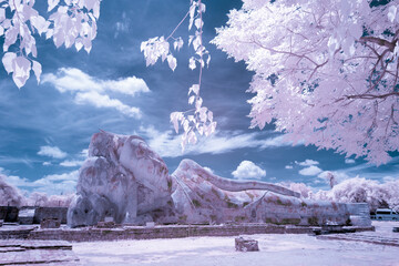 Ancient reclining Buddha Image taken in infrared in Wat Lokaya Suttharam, the travel destination...