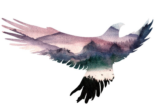 Eagle bird silhouette on forest background. Insulated profile. Watercolor illustration. Design. Portrait of an animal. Wildlife. Double multiple exposure in painting