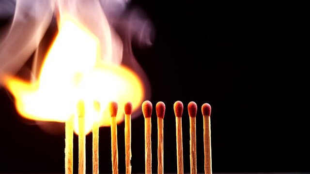 Close up burning match setting fire to a row of unlit matches isolate on black background. Concept the passion of one ignites ideas change others, creative, and inspiration.