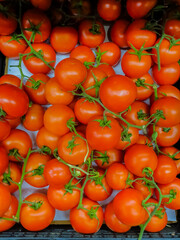 freshly cut rich red tomato.