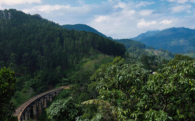 travels nature