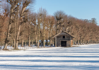 wooden barn in a snowy landscape