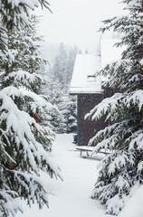 A snowstorm in the mountains sweeps up wooden house. Wooden house and Christmas trees in the snow. Carpathians. Ukraine