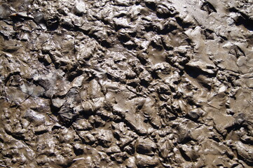Vogelfußabdrücke im Schlamm