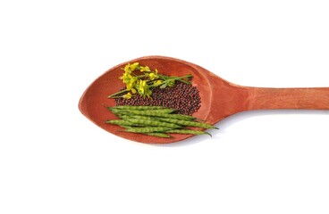 Black Mustard Seeds, Pods and Flowers in Wooden Ladle Isolated on White Background