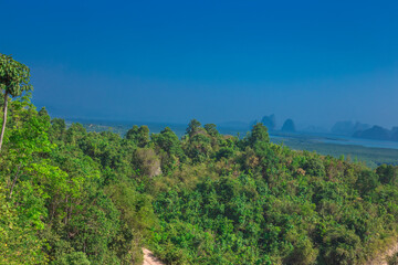 Obraz premium Wallpaper blurred nature of the twilight light in the evening by the large water basin surrounded by big trees, the integrity of the forest