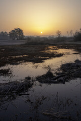 Obraz premium Saharastaub