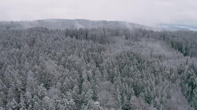 snow covered forest in the fog from above