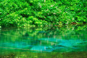 阿寒摩周国立公園　神の子池