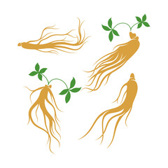 Set of ginseng logo vector illustration design template