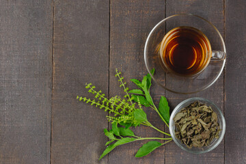 Tulsi or holy basil tea in transparent glass cup with fresh tulsi leaf and dried leaf in...
