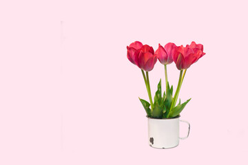 Beautiful bouquet of five red tulip flowers