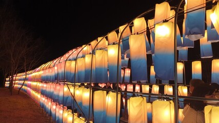 lights in the night