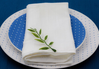Food table decoration, set of flat plate and dessert in blue tones with polka dots, tablecloth save and green branch as an ornament