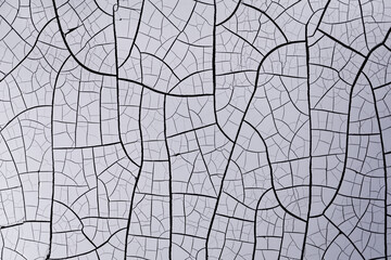 Obraz premium Beautiful overlay texture of old cracked paint