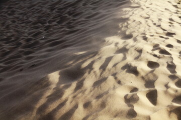 desert