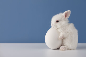 Baby rabbit with big white Easter egg on blue background, copy space