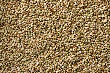 raw green unprocessed buckwheat background. Healthy, detox and dieting food concept. grain texture. flat lay