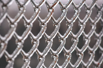 Fototapeta premium fence after severe frost. ice on the fence