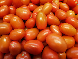 Pomodori