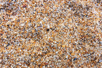 Sea gravel pebbles texture and background.