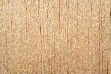balsa wood texture, lightweight wood macro