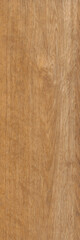 Wood texture. Wood texture for design and decoration
