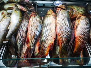 fresh unpeeled fish sold in the refrigerator of a hypermarket