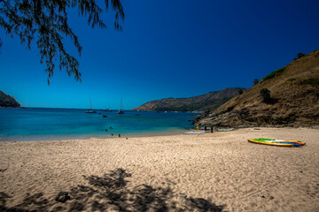 Wallpaper blurred nature of the twilight light in the evening by the large water basin surrounded by big trees, the integrity of the forest