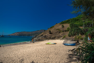 Wallpaper blurred nature of the twilight light in the evening by the large water basin surrounded by big trees, the integrity of the forest