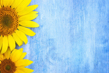 summer background with sunflower on blue wooden background, welcome summer, free space, place for...