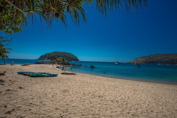 Wallpaper blurred nature of the twilight light in the evening by the large water basin surrounded by big trees, the integrity of the forest