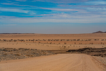 Fototapeta na wymiar Landscape with road at Namib-Naukluft National Park , s a national park of Namibia
