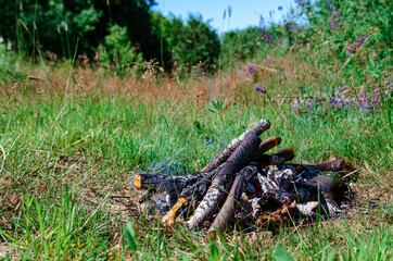 A burning fire with logs