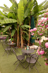 ITALY PIEMONT LAGO MAGGIORE